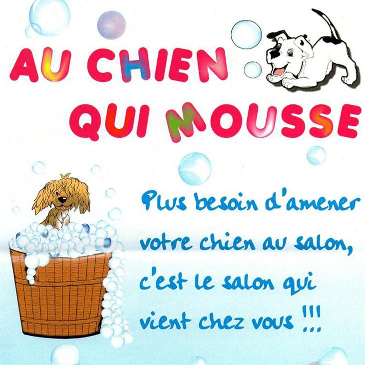 Au chien qui mousse - Toilettage à domicile.